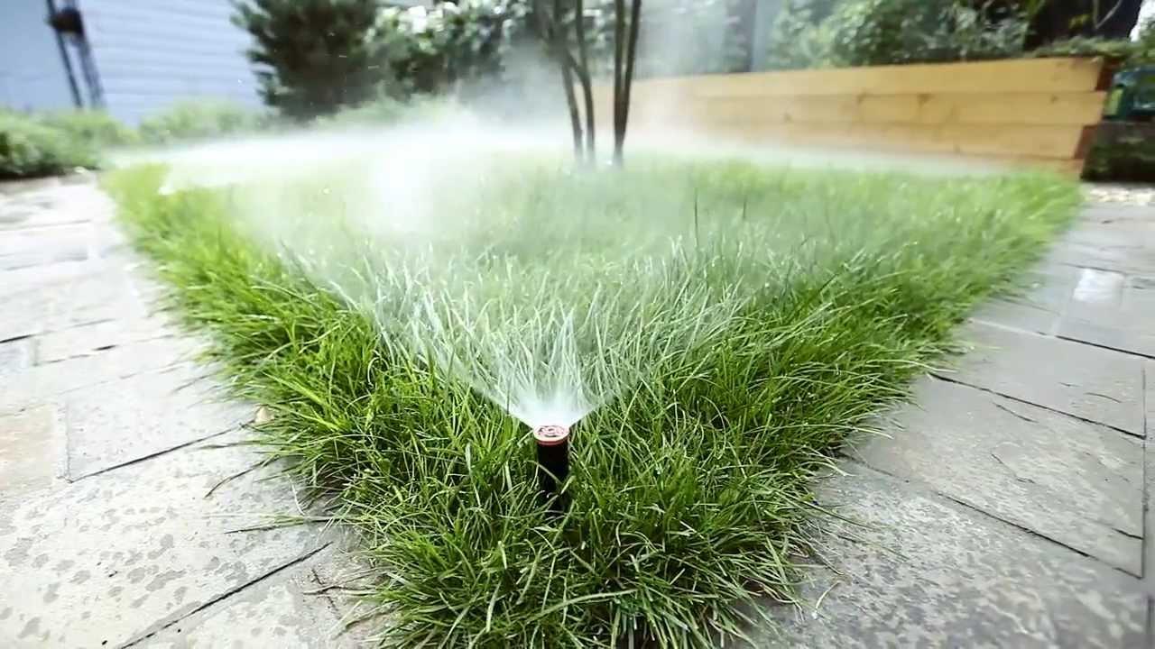 Способы полива газона